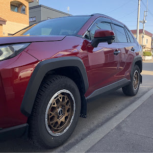 RAV4 MXAA54