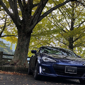 BRZ ZC6