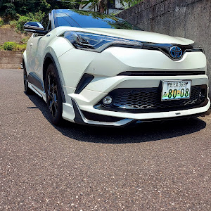 C-HR ZYX10