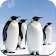 Penguin Wallpaper HD icon