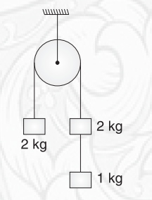 Free-Body Diagrams - FBD