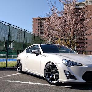 86 ZN6