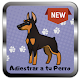 Download Adiestrar a tu Perro : Consejos de adiestramiento For PC Windows and Mac 1.0