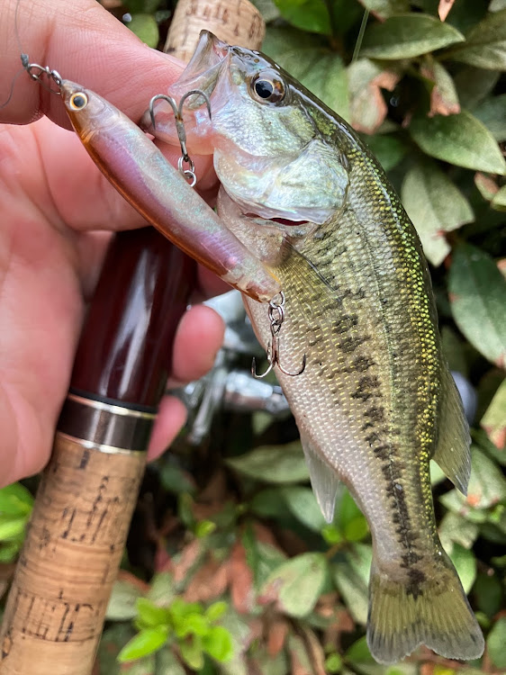 レガシィツーリングワゴンのドライブに関するカスタム事例の投稿画像9枚目