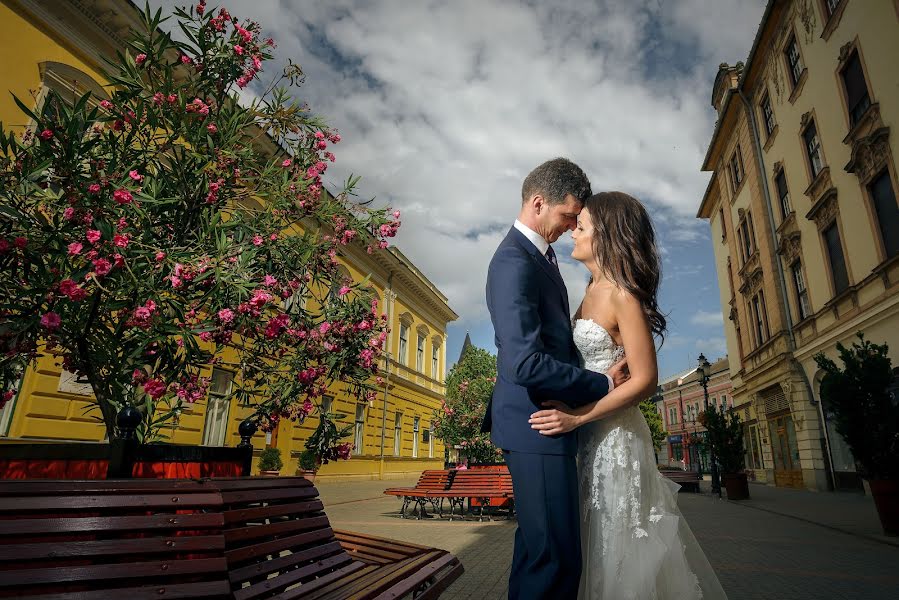 Wedding photographer Bence Pányoki (panyokibence). Photo of 25 March 2018