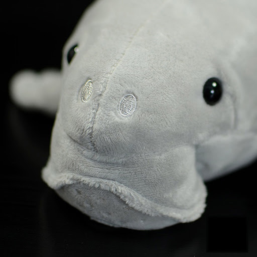 Title 5, Super Cute Dugong Plush Toy Model Adorable and ...