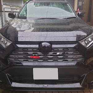 RAV4 AXAH54