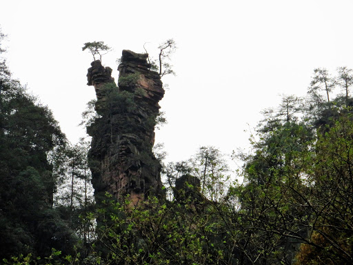 Avatar Park China 2016