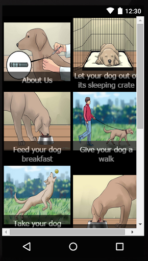 How to Take Care of a Dog