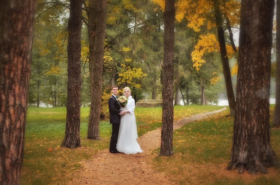 Fotógrafo de casamento Dmitriy Chursin (dimulok). Foto de 7 de dezembro 2018