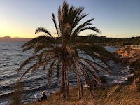 Cabo de Salou, 2017