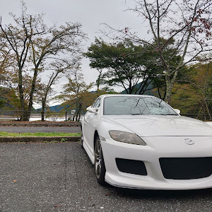 RX-8