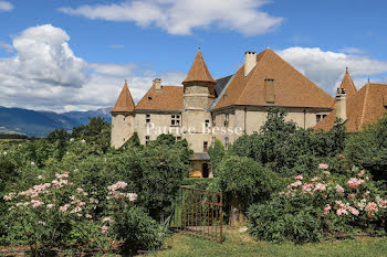 château à Grenoble (38)