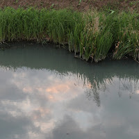 Il cielo nel fiume di 