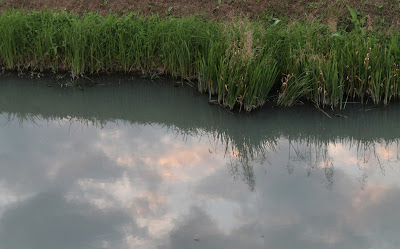 Il cielo nel fiume di Federica Patalano