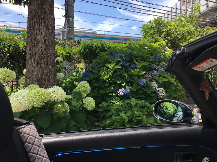 コペンの今週のお題は[斜め45度後方美学]です！お題投稿を楽しみましょう！・幸せは自分自身で見出す物で他人から与えられる物では有りません！最高だね！・貧乏しても心❤️の貧乏人には成りたく無いですね！最高だね！・人は人です!自分の納得出来る生き方をしましょう!最高だね！・貧乏をしても心❤️の貧乏人にはなりたく無いですね！に関するカスタム事例の投稿画像116枚目