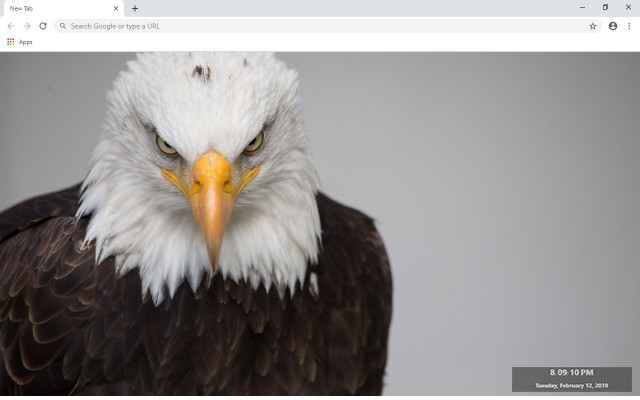 Eagle New Tab & Wallpapers Collection