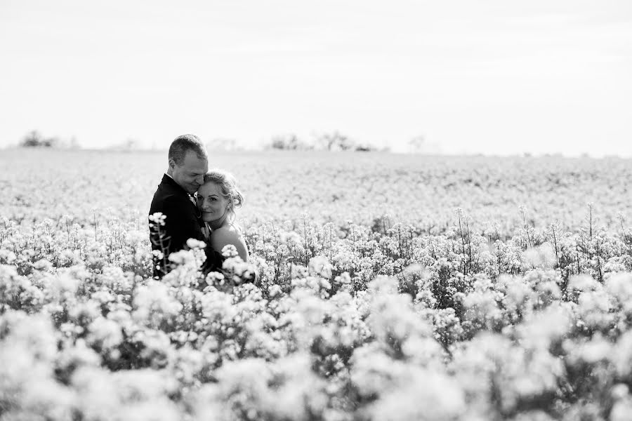 Wedding photographer Károly Nagy (karolynagy). Photo of 19 May 2020