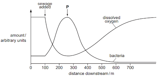 Water pollution - Causes and Effects