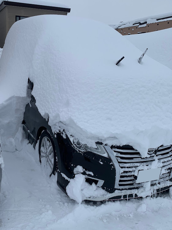 エルグランドの北海道・大雪警報に関するカスタム事例の投稿画像1枚目
