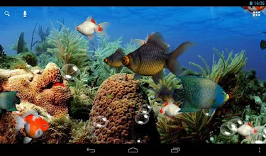 Aquarium 3d Live Wallpaper Apps On Google Play