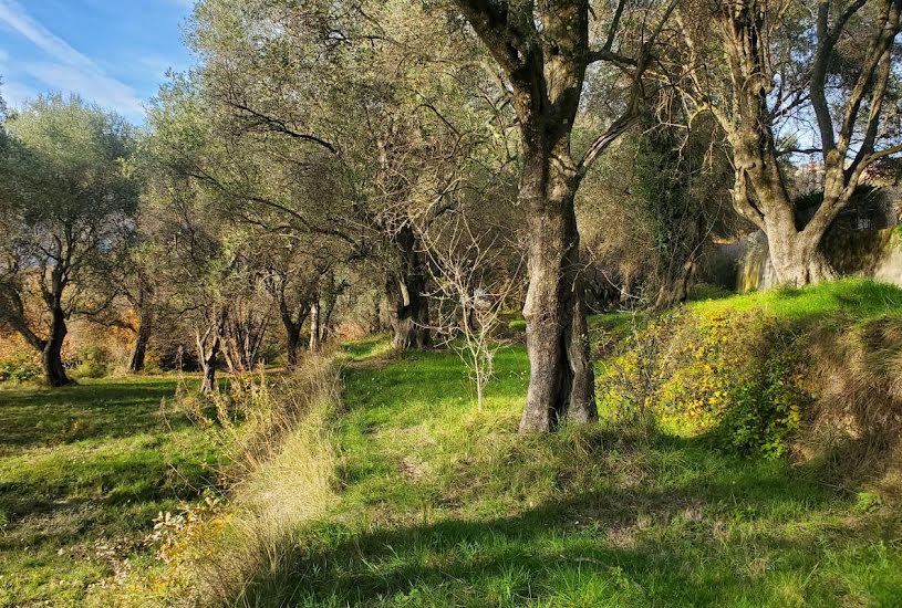  Vente Terrain à bâtir - à Contes (06390) 