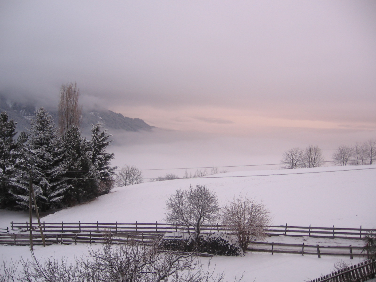 d'inverno di Giomi