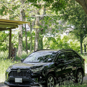 RAV4 MXAA52