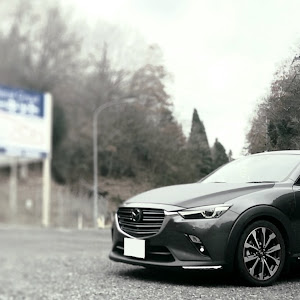 CX-3 DKEFW