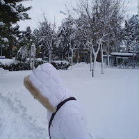 bianco nel bianco  di 