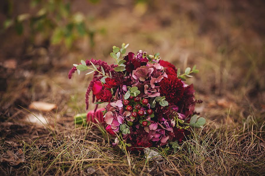 Wedding photographer Olga Khayceva (khaitceva). Photo of 29 October 2015