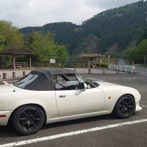 ロードスター NA8C