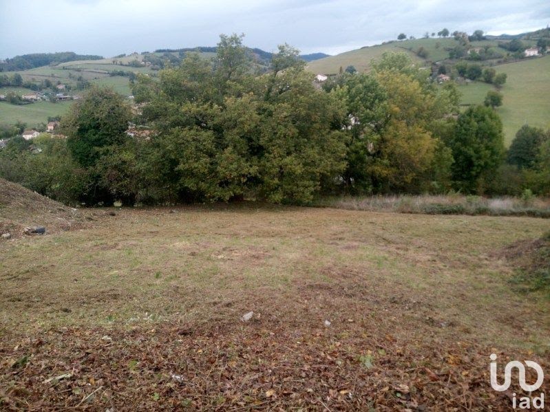 Vente terrain  960 m² à Bourg-de-Thizy (69240), 38 000 €