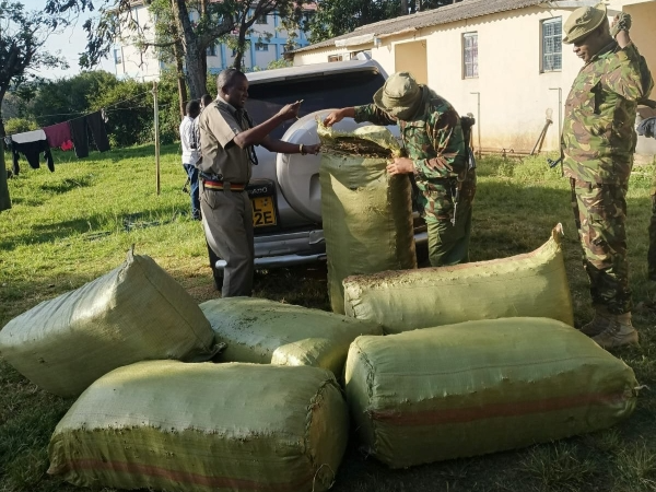 Sacks of bhang valued at Sh9 million held at Isebania Police Station