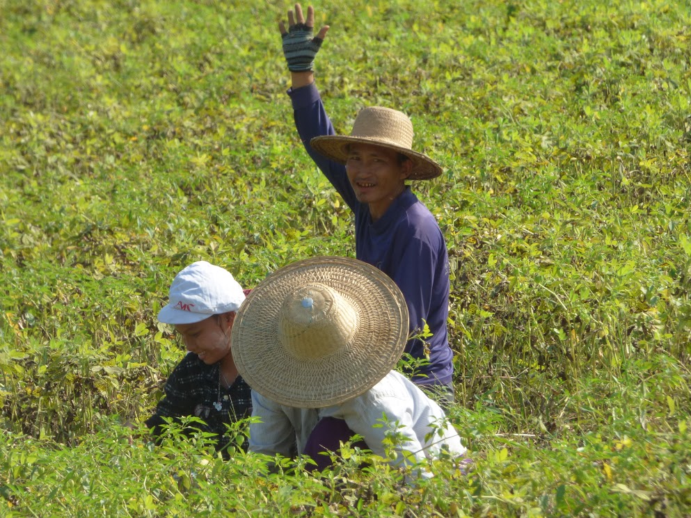 hpa an