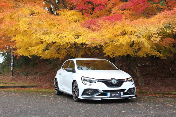 メガーヌ ハッチバックのメガーヌRS・ルノー好きな人と繋がりたい・🍁紅葉コラボ・MTは楽しい・仲間を増やしたいに関するカスタム事例の投稿画像3枚目