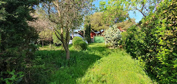 terrain à Balaruc-les-Bains (34)