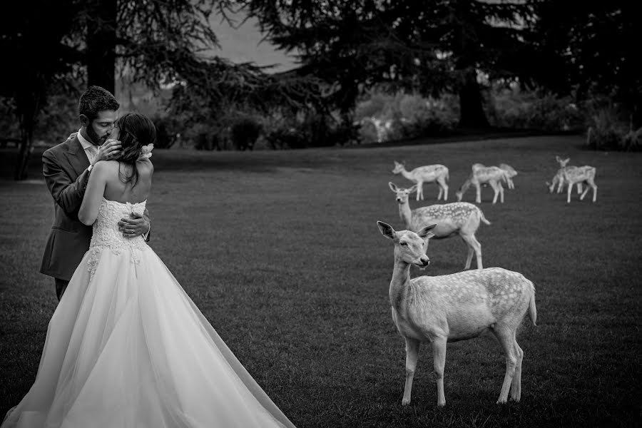 Photographe de mariage Marco Baio (marcobaio). Photo du 26 juillet 2019