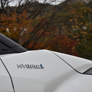 C-HR ZYX10