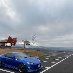 BRZ ZC6