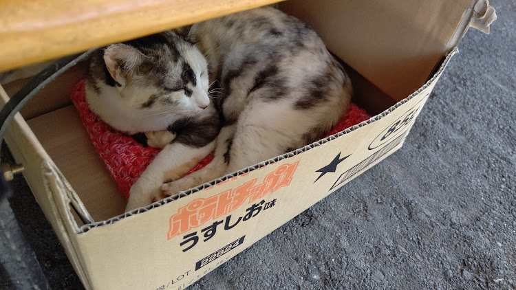 ボクスターのグンマケンさんが投稿したカスタム事例の投稿画像2枚目