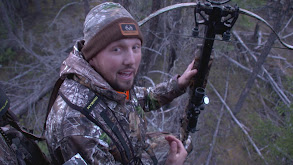 Sask Adrenaline Bear Hunt thumbnail