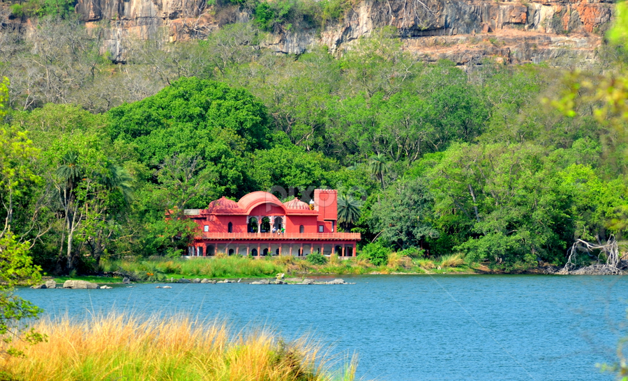 Jogi Mahal, Ranthambhor, Rajasthan | Forests | Landscapes | Pixoto