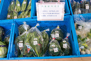 野菜1