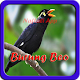 Download Kicau Burung Beo Bicara New For PC Windows and Mac 1.0