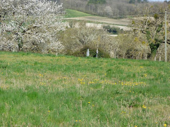 terrain à Lesigny (86)