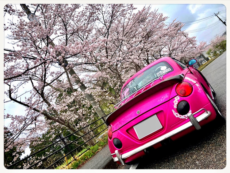 コペンの桜・南房総・高滝湖・アカデミアパーク・サンモアに関するカスタム事例の投稿画像3枚目