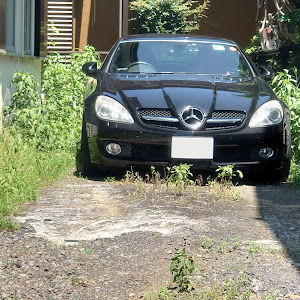 SLK R171