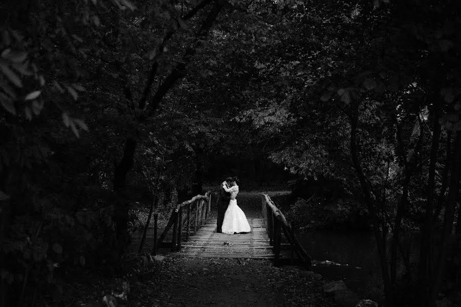 結婚式の写真家Mario Bocak (bocak)。2015 9月18日の写真