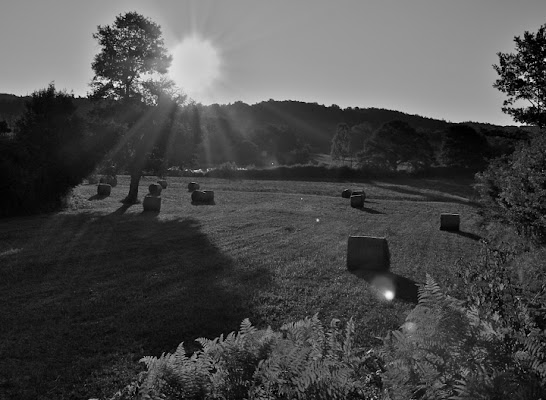 Il sole nettare della campagna di giustino69